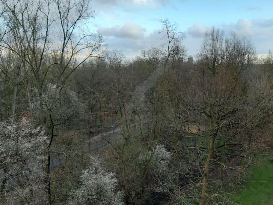 Zentral Und Doch Natur Colonia Exterior foto